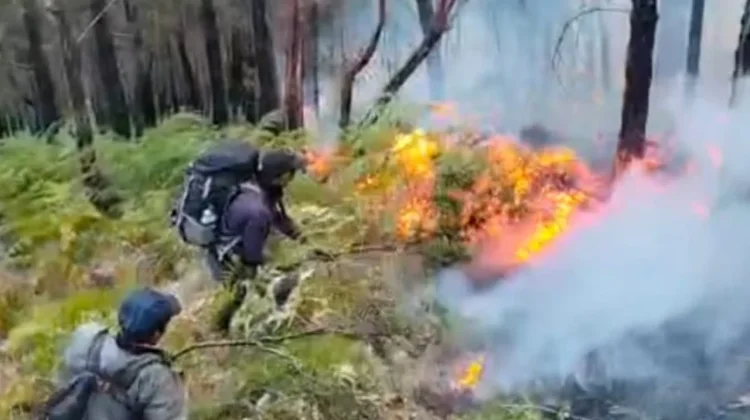 Jalur Pendakian Gunung Arjuno-Welirang Ditutup Total