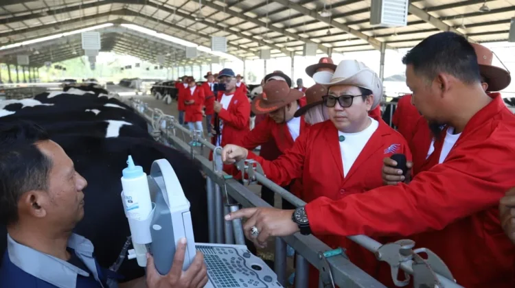 Perkuat Peternakan untuk Ketahanan Pangan, Pemkab Malang Gandeng Pusat