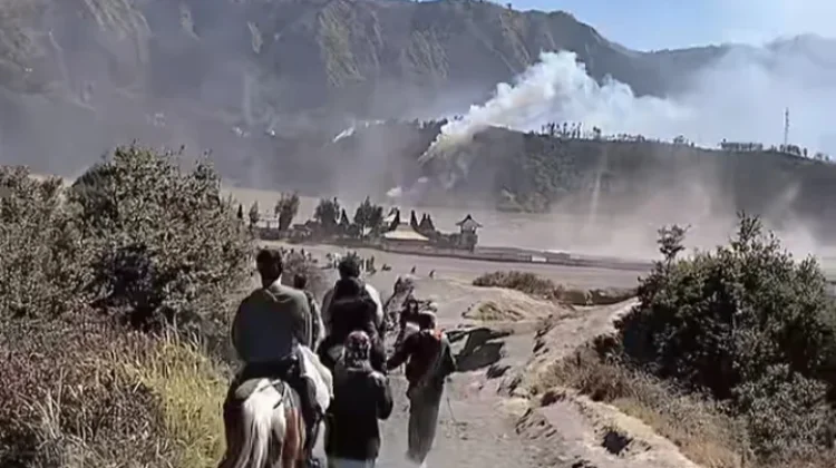 Kawasan Bromo Kembali Terbakar, Api Mendekati Jembatan Kaca Seruni Point