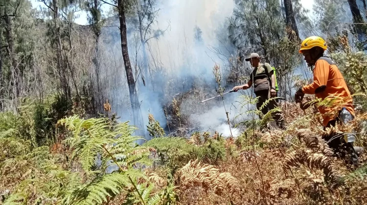 Karhutla di Gunung Arjuno - Welirang Meluas Sampai 300 Hektar