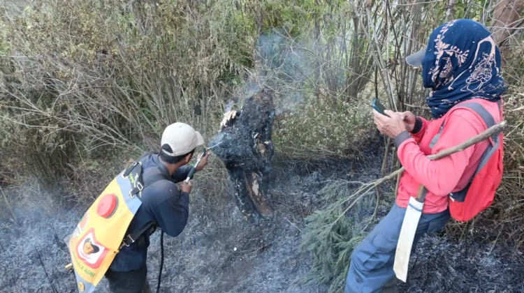 Gunung Semeru Ditutup Total akibat Kebakaran