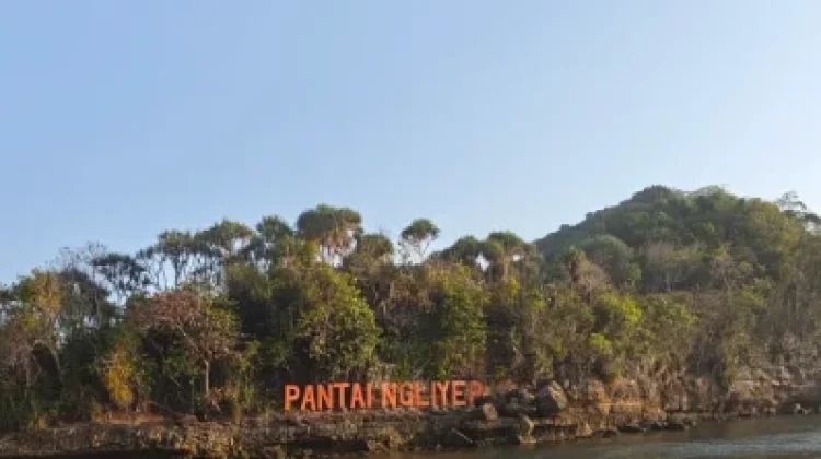 Serunya Menjelajah Pesona Pantai Ngliyep Kabupaten Malang