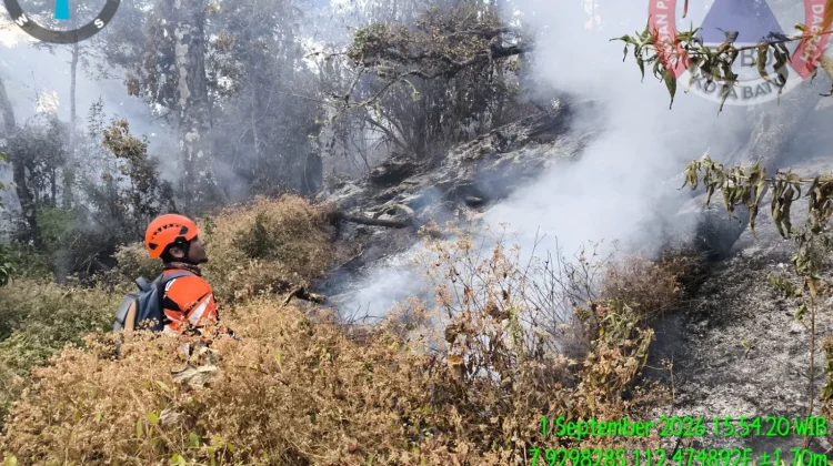 Kebakaran Hutan di Kawasan Gunung Butak Berhasil Dipadamkan Tim Gabungan