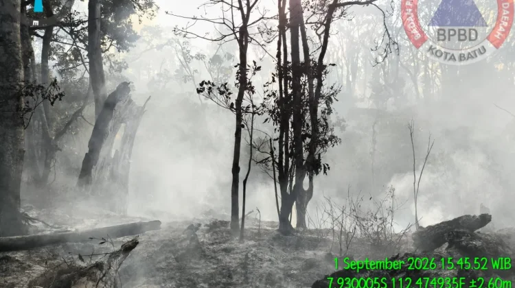 Kebakaran Hutan Kawasan Gunung Butak Dipadamkan, Pendakian Ditutup sementara