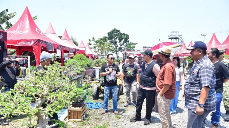 Dorong Flora Endemik Tembus Ekspor, Pamnas Bonsai Pasuruan Dibidik Agenda Tahunan