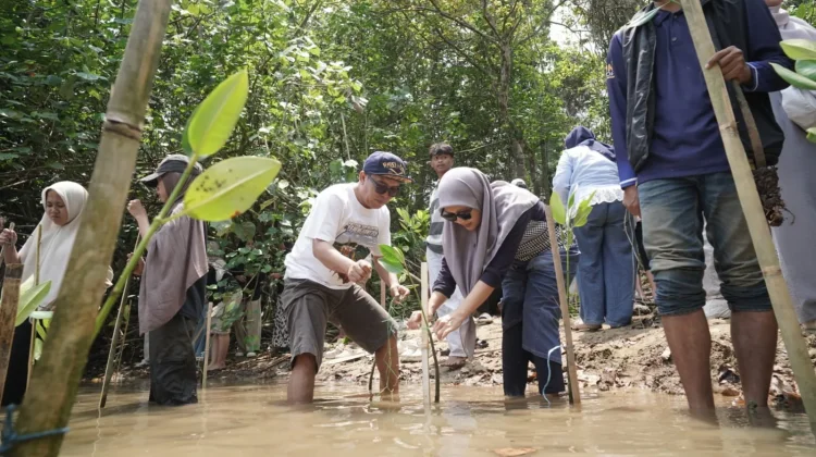 PKKMB FISIP UNIRA Malang Diisi Aksi Tanam 1.000 Mangrove di Pantai Kondangmerak