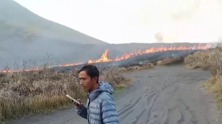 Bukit Teletubbies Bromo Kembali Terbakar, Petugas Gabungan Berupaya Padamkan Api