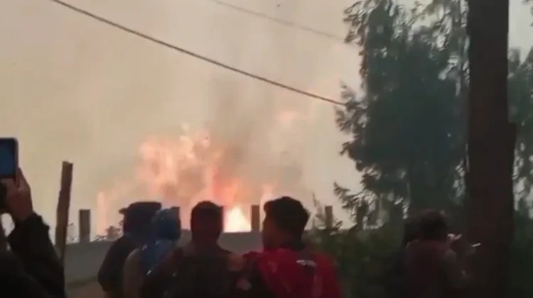 Kebakaran Hutan dan Lahan Bromo Merembet ke Jemplang Kabupaten Malang