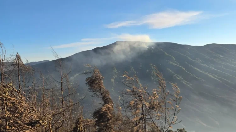 Titik Api Masih Terlihat di Kawasan Bromo, Petugas Gabungan Tetap Siaga
