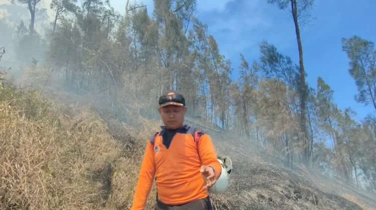 BPBD Memantau dan Menangani Karhutla Kawasan Gunung Butak Kabupaten Blitar