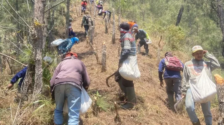 Karhutla Gunung Butak Meluas, Tim Gabungan Siapkan Operasi Darat