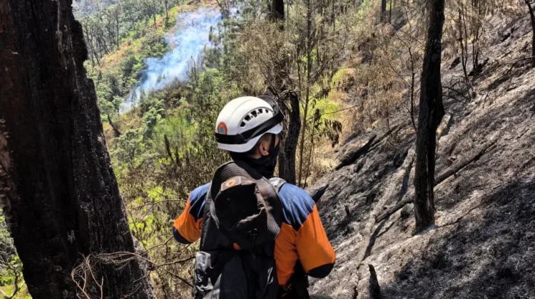 Karhutla Gunung Butak Blitar, Area Terdampak Capai 478 Hektare