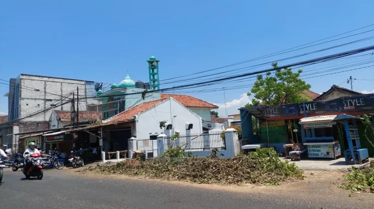 Revitalisasi Trotoar Jalan Cokroaminoto, 21 Pohon Ditebang