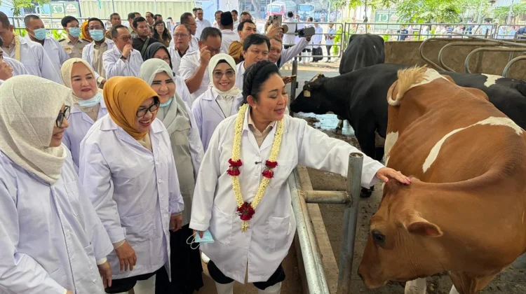 Ketua Komisi IV DPR RI, Titiek Soeharto Kunjungi KUTT Sukamakmur Grati