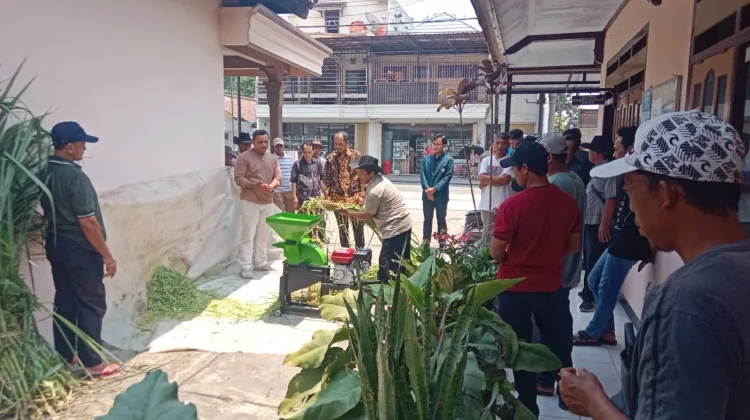 Tim UB Olah Limbah Pertanian Jadi Pakan dan Pupuk di Kediri