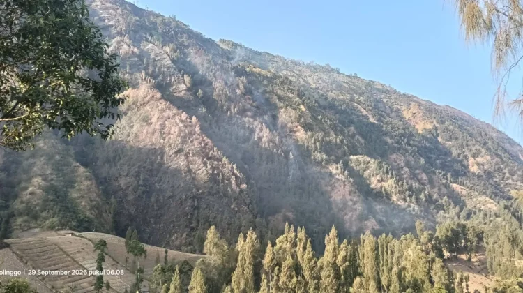 Kebakaran Hutan Terlihat dari Kawasan Bromo, BPBD Terima Laporan Warga