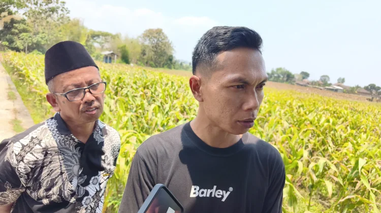 Kesaksian Korban Selamat, Syaiful Ceritakan Detik-Detik KM Virgo Terbalik