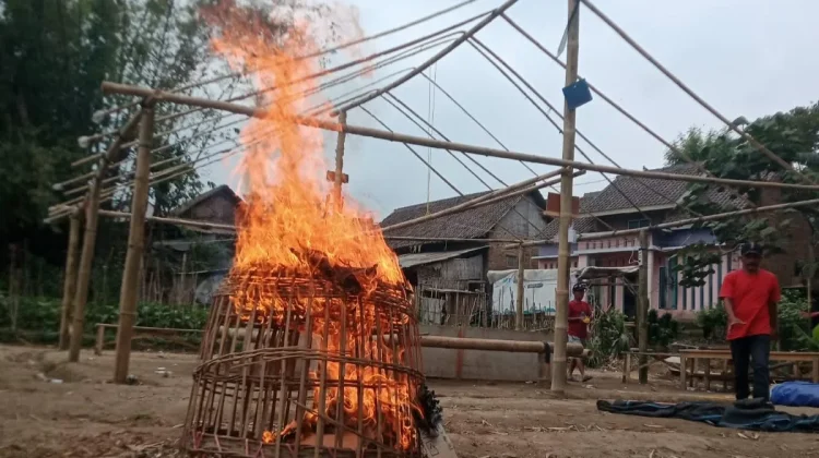 Arena Sabung Ayam di Poncokusumo Digrosok Polisi, Aktivitas Perjudian Dicegah
