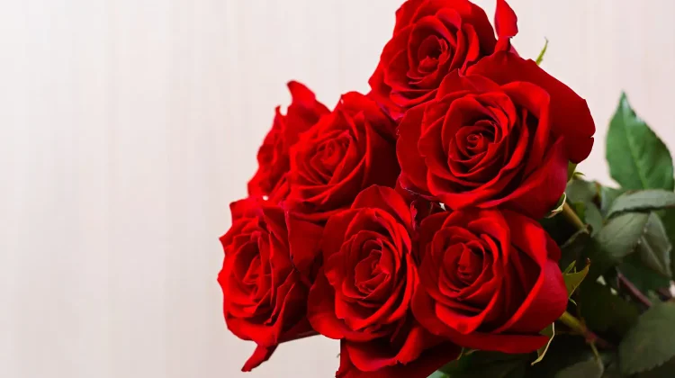 Hari Valentine Bukan Sekadar Cinta dan Hadiah