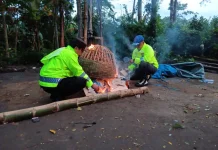 Warga Lapor 110, Polisi Bongkar Arena Sabung Ayam di Sumperpucung