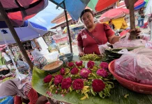 Bunga Ziarah Melonjak, Pembeli Tetap Ramai