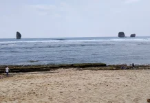 Serunya Berwisata di Pantai Tanjung Penyu Malang Selatan