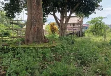 Urung-urung Sungai Metro dan Dugaan Lokasi Bangunan Suci Wurandungan
