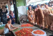 Harga Cabai Turun, Stok Sembako di Malang Aman