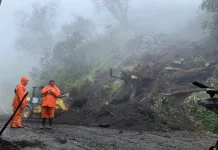 Dua Bukit di Wilayah Tosari Bromo Longsor
