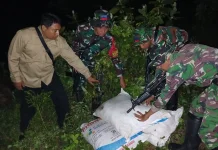 Satgas Pamtas Yonarhanud 2 Kostrad Gagalkan Penyelundupan 250 kg Pupuk Subsidi