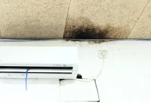 Black Mold, Ancam Kesehatan Manusia