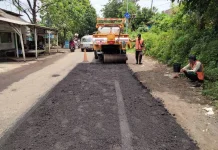 DPUPR Kabupaten Probolinggo Tambal Sulam Jalan Gunakan Truk Alpomain