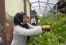 Rutan Bangil Sukses Budidaya Lele dan Tanaman Sayuran