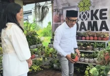 UMKM Kriya Inovatif, Kokedama Kota Batu Ekspor ke Jepang