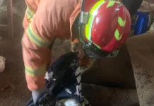 Kebocoran LPG Picu Kebakaran di Madyopuro