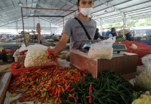 Inflasi Malang Naik 0,74% Dipicu Kenaikan Harga Cabai