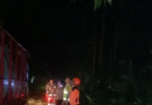 Rumpun Bambu Roboh Tutup Jalan Ngantang menuju Blitar