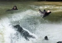 Luna Maya Nyaris Meregang Nyawa Demi Suzzanna: Santet Dosa di Atas Dosa