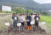Dukung Ketahanan Pangan, Wali Kota Batu Tanam Jagung Serentak