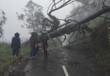 Cuaca Ekstrem, Camping Ground Ranu Regulo Ditutup
