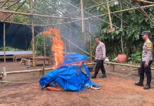 Polres Malang Bongkar Lokasi Diduga Arena Sabung Ayam di Gedangan