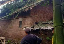 Angin Kencang Tumbangkan Pohon di Kepanjen