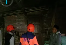 Rumpun Bambu Roboh Rusak Dua Rumah