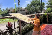 Pesanan Rengginang Naik, Produsen Blitar Terkendala Cuaca Tak Menentu