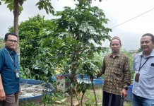 Ponpes Tahfidz Bani Yusuf Lowokaru Kota Malang Terima Bantuan Bibit Pohon