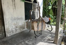 Nenek Penjual Kerupuk Jadi Korban Penipuan Uang Palsu