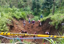 BPBD Probolinggo Tangani Plengsengan Jalan Pesawahan–Tiris