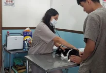 Menjelang Mudik Lebaran Layanan Penitipan Hewan di Malang Ramai Pesanan