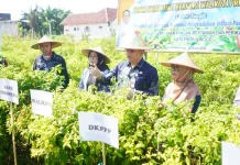 Wali Kota Probolinggo Dorong Inovasi Irigasi Tetes