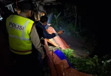 Pria Meninggal Tertimbun Longsor saat Cari Pakan Ternak